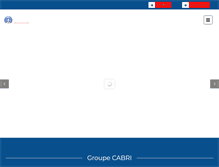 Tablet Screenshot of ecee.fr
